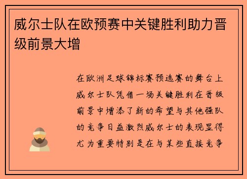 威尔士队在欧预赛中关键胜利助力晋级前景大增