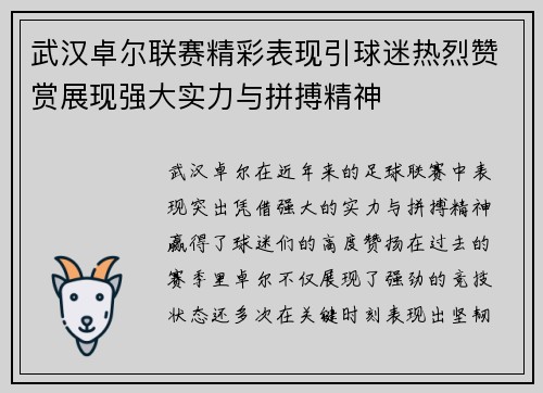 武汉卓尔联赛精彩表现引球迷热烈赞赏展现强大实力与拼搏精神